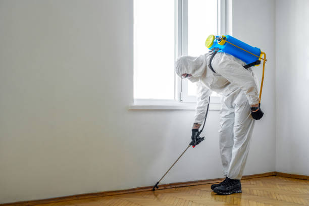 Best Real Estate Pest Inspections  in , OK